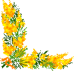 image002