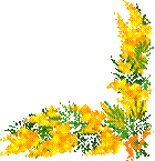 image002